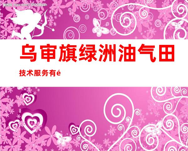 乌审旗绿洲油气田技术服务有限公司